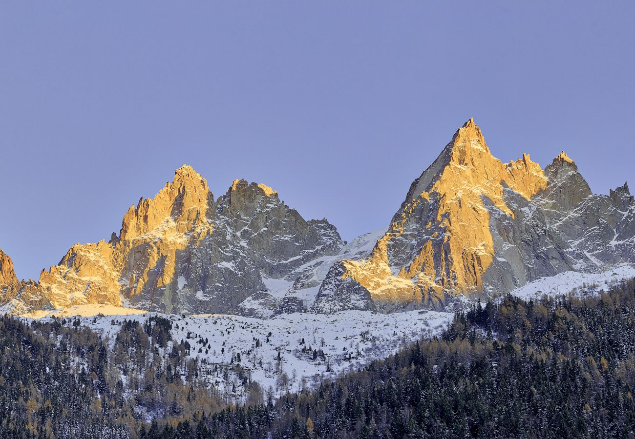 Appartement à Chamonix-Mont-Blanc - Serenite