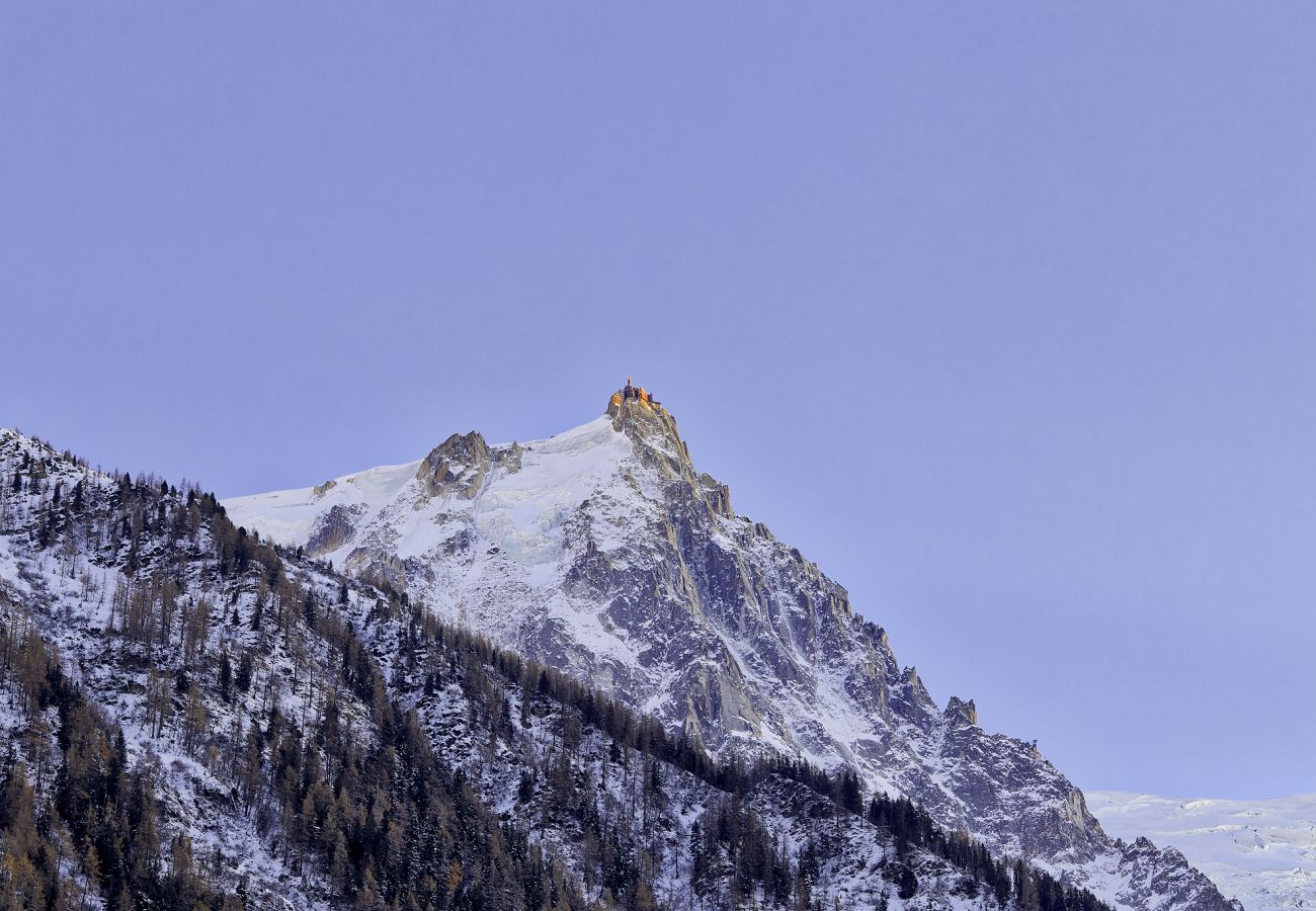 Appartement à Chamonix-Mont-Blanc - Base Camp: Residence Ferme de Montenvers