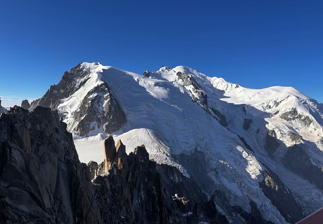 Apartment in Les Houches - Apartment Aiguille Rose